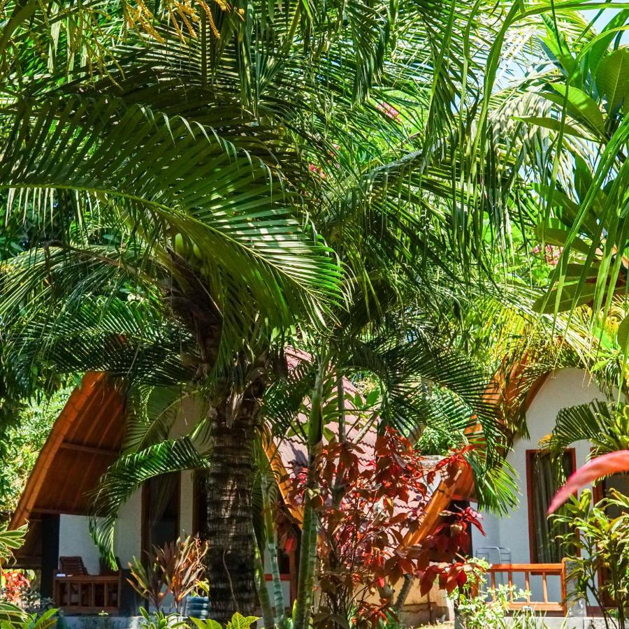 Florine'S Garden Hotel กิลิไอร์ ภายนอก รูปภาพ