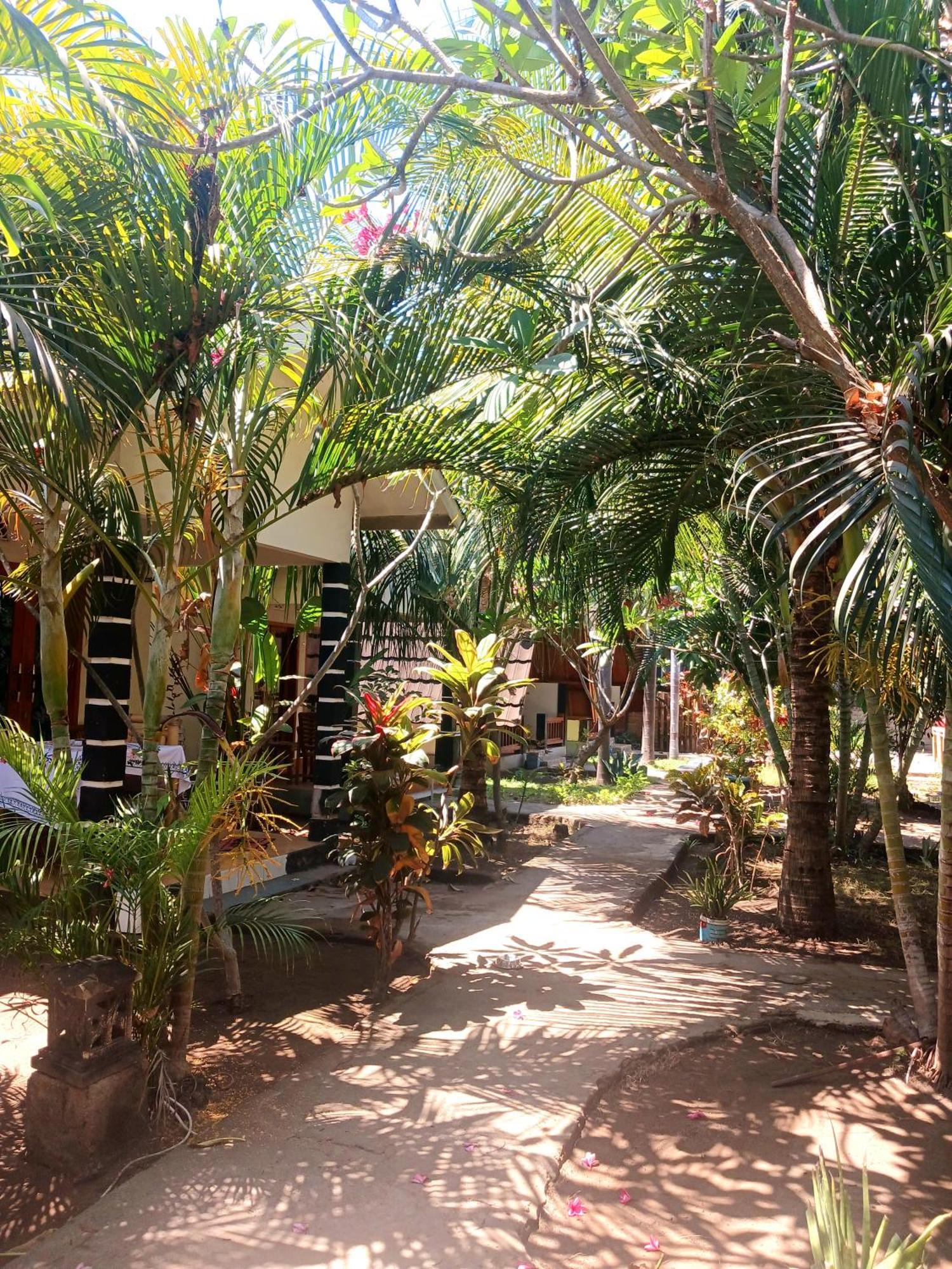 Florine'S Garden Hotel กิลิไอร์ ภายนอก รูปภาพ