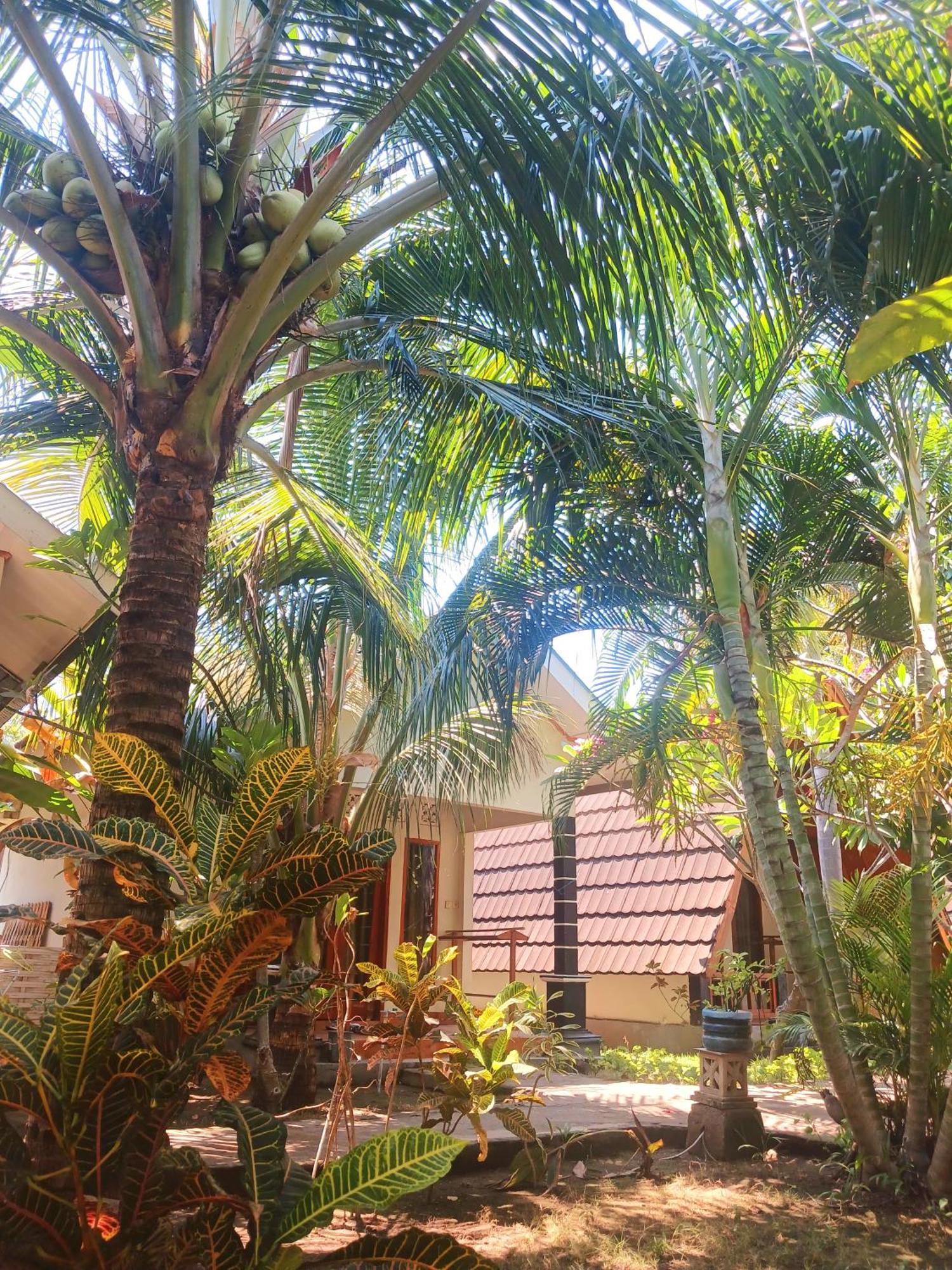 Florine'S Garden Hotel กิลิไอร์ ภายนอก รูปภาพ